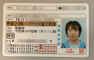 Illustration for article titled "Cosplay Driver's Licenses" Exist in Japan